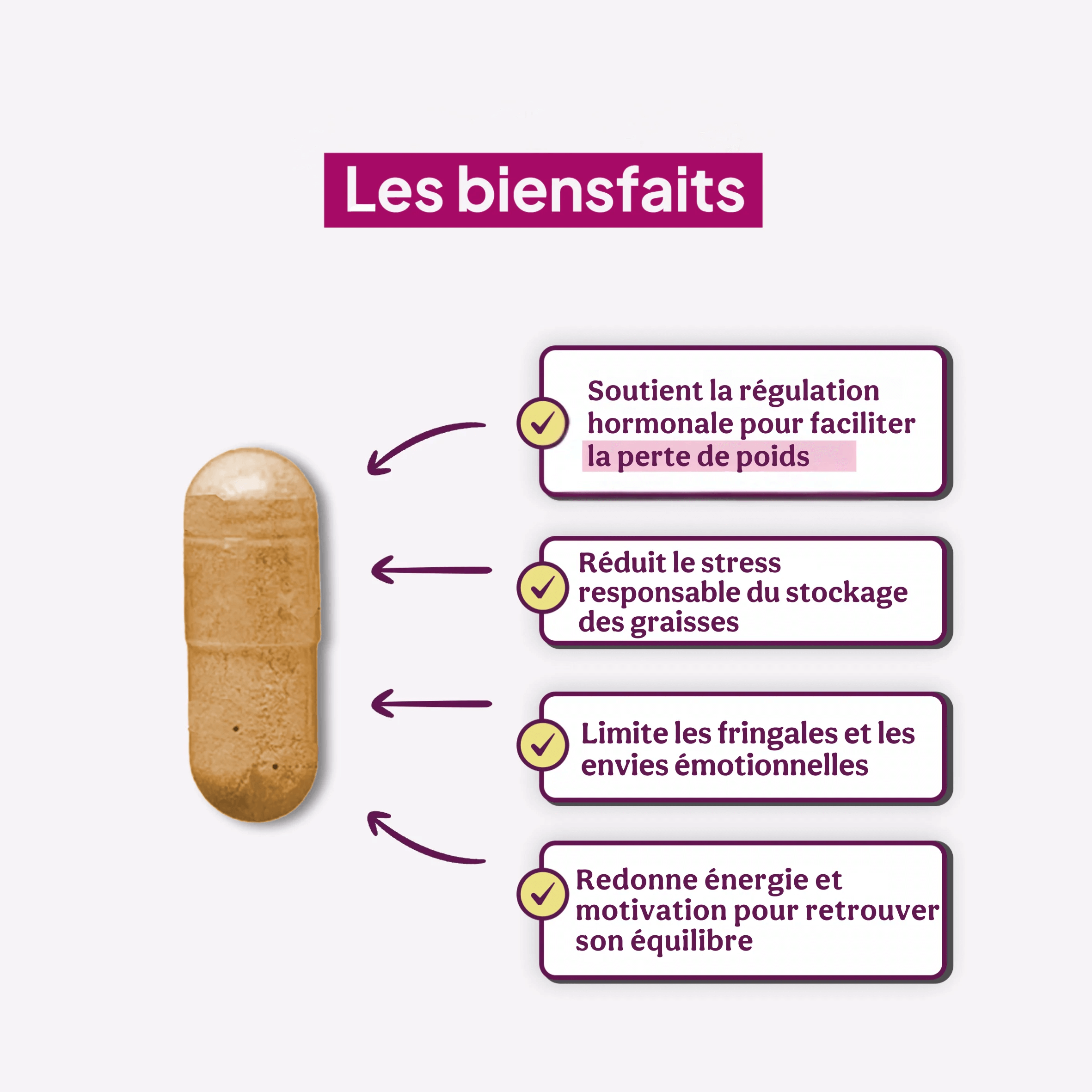 blomyslide2